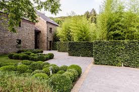 Entree Habitation Contraste Haie Taillee Et Bambous Massifs De Buis Tailles En Boule Pierre Ble Con Imagenes Jardines Diseno De Paisaje Arquitectura Paisajista