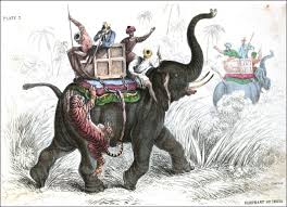 Colonising Elephant Hunting in Assam ...