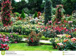 Photo About Paris French Landscape Classic Rose Garden In The Bois De Boulogne In The Roseraie De Bagatelle Image Of R In 2020 Garden Images Garden Beautiful Gardens