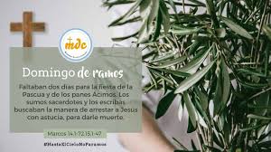 El párroco josé maría velázquez, de 84 años de edad, incumplió todas las medidas de. Semana Santa Domingo De Ramos Misioneros Digitales Catolicos Mdc
