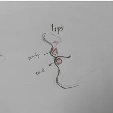 Follow Me Lips Drawing Drawing Tips Drawings