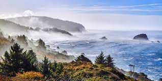 Camping At Patrick S Point State Park Visit California