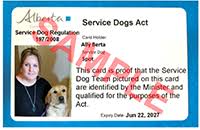 Failure to license your dog is a violation of state law. Responsible Pet Ownership The City Of Red Deer