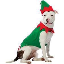 Rasta Imposta Elf Dog Costume Clothing More Shop The
