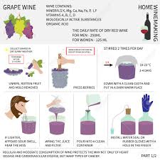 Paso a paso, con recomendaciones de productos y maquinaria según tu presupuesto. Inicio Vinificacion Vino De Uvas Paso A Paso Las Instrucciones Sobre Como Hacer Vino En Casa Ilustraciones Vectoriales Clip Art Vectorizado Libre De Derechos Image 46968931