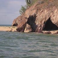 Bibme lets you easily and automatically create online database citations and build your bibliography in bulletin of environmental contamination and toxicology. Pdf Bulletin Of Environmental Contamination And Toxicology Leticia Espinosa Carreon And A Zavala Academia Edu