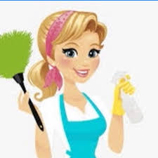 LAPA Cleaning Services