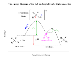 Sn1 Energy Diagram Transition States Activation Energy Intermediates Energy Activities Reactions Organic Chemistry