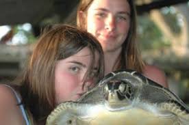 Braconnage à grande échelle d'oeufs de tortues marines au Costa Rica
