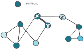 What Are Social Groups And Social Networks? (Article) | Khan Academy