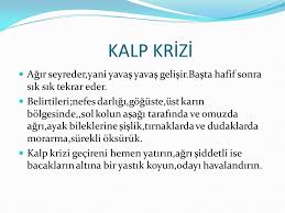 Saglik Bilimleri Herseyden Once Saglikli Yasamaya Braintr Ppt Indir