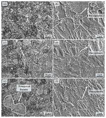 Image result for steel micrograph