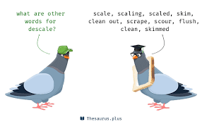 Check spelling or type a new query. 16 Descale Synonyms Similar Words For Descale