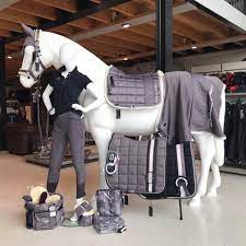 Horseriding Horserider Equine Afbeelding Equestrian Outfits Riding Outfit Horse Riding Gear