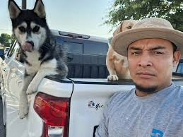 The Edneyville Library: Its like your own little cabin in the woods. 📚