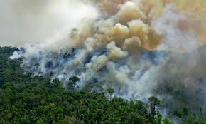 A massive wildfire is currently ravaging the amazon rainforest in brazil. Amazon Rainforest Now Emitting More Co2 Than It Absorbs Amazon Rainforest The Guardian