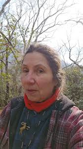 First hike in the books with my rescued husky, kiwi. She did awesome!