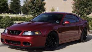 2004 ford mustang svt cobra supercharged coupedescription: La Motorcars 2003 Ford Mustang Svt Cobra Richardson Texas Ford Mustang Ford Mustang Cobra 2003 Ford Mustang