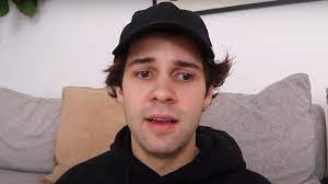 David won the vlogger of the year for 2017. David Dobrik Channels Demonetized By Youtube Over Sex Assault Claims Variety