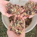 Food & Medicine Sovereignty - Bellingen/Gumbaynggirr