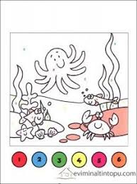 Hayvanlar Sayi Boyama Sayfalari Evimin Altin Topu Boyama Sayfalari Hayvanlar Okul Oncesi