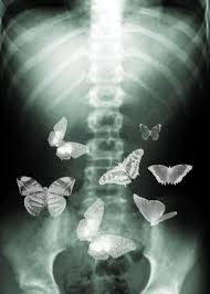 Hellogiggles A Positive Community For Women Butterflies In My Stomach Daughter Of Smoke And Bone Give Me Butterflies
