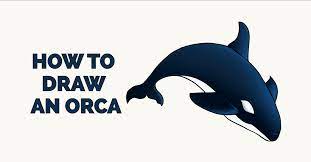 How to draw a killer whale. How To Draw An Orca Really Easy Drawing Tutorial