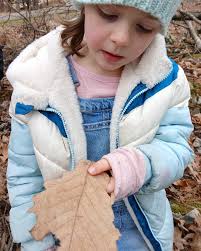 Carly Allen Personalized Education Services LLC