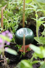 Wir haben für sich die wichtigsten und besten produkte in dieser kategorie aufgelistet und in eine entsprechende reihenfolge gebracht. Blumat Bewasserung Kegel Pflanzen Bewasserung Gartenprojekte