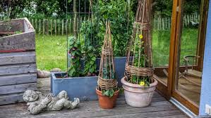 Pflanzen, die als sichtschutz genutzt werden, verbessern somit das mikroklima im garten. Sichtschutz Aus Pflanzen Fur Terrasse Und Balkon Ndr De Ratgeber Garten