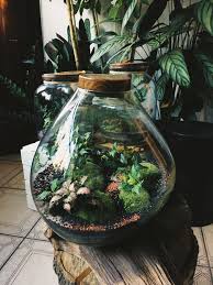 Pin On Nature Concept