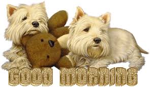 Html5 links autoselect optimized format. Good Morning With Cute Puppies