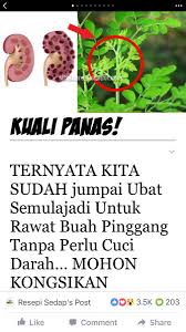 Terjumpa info tentang petua membersihkan buah pinggang. Suzy Abdullah On Twitter Tq Dr