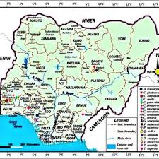 Image result for Strephonema sericeum