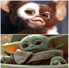 Rosana Hermann On Twitter O Baby Yoda Nao E Um Gizmo Vegano
