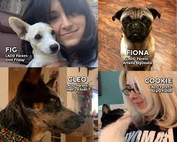 Our work is invaluable to the lives of the many animals that have suffered from cruelty or neglect. La Derby Dolls On Twitter Happy National Adopt A Shelter Pet Day We Love Our Shelter And Rescue Pets So Much That We Wanted To Share Their Cute Faces With You Https T Co Lvj8wctp3w