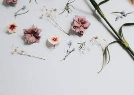 Flower aesthetic android iphone desktop hd backgrounds wallpapers 1080p 4k wallpaper iphone summer iphone wallpaper images floral wallpaper iphone. Minimalist Floral Laptop Wallpapers Wallpaper Cave