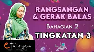 Menghantar impuls saraf dari koklea ke otak. Etuisyen Tingkatan 3 Sains Bab 1 Rangsangan Dan Gerak Balas Bahagian 2 Youtube