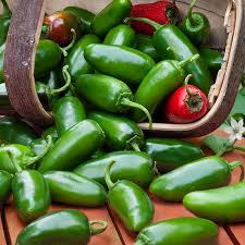 Kt has covered peppers quite a few times during past gardening threads, but here's one i don't recall her covering: How Do You Germinate Jalapeno Pepper Seeds