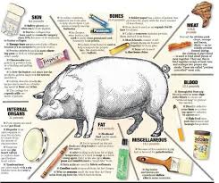More Then Pork Comes From Pigs Hog By Products Infographic