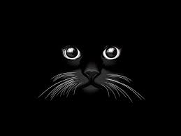 Black Cat Vector Cat Vector Black Cat Pictures Animal Illustration