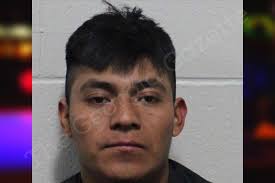 Adel Diaz-Perez — Habersham County Jail Bookings