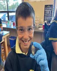 Santa Catalina School Bulletin