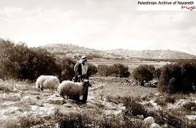 جنين جنين جنين 1923 صورة نادرة 46914 فلسطين في الذاكرة Pictures Art Painting