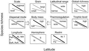 Salisbury emergency pest control with no call out charge. On The Generality Of The Latitudinal Diversity Gradient The American Naturalist Vol 163 No 2
