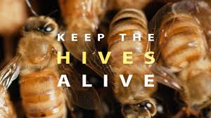 Watch movies the hive (2015) online free. Keep The Hives Alive Full Documentary Youtube