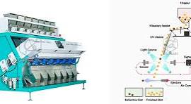 What is Rice Sorting Machine and How to Use Rice Color Sorter