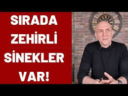 Sirada Zehirli Sinek Salgini Var Dunya Artik Ertan Ozyigit Youtube In 2020 Politics