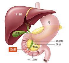 美元是厄瓜多尔, 圣尤斯特歇斯岛, 沙巴岛, 津巴布韦, 英属维京群岛, 美利坚合众国, 美国本土外小岛屿, 东帝汶, 特克斯和凯科斯群岛, 萨尔瓦多, 帕劳, 巴拿马, 北. å¥½å¿ƒè‚æœƒåˆŠ è‚åŸºæœƒ