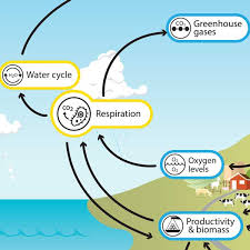 We did not find results for: Respiration Understanding Global Change